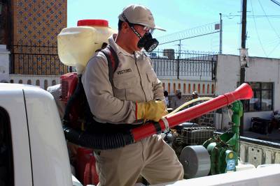 Puebla, de los estados con menos casos de dengue, zika y chikungunya