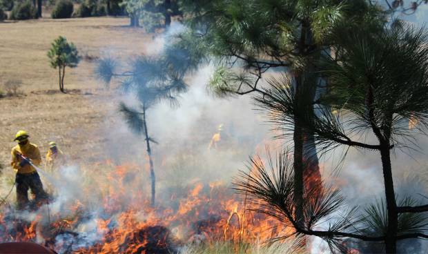 Se dispara número de incendios forestales en Puebla, revela Conafor