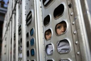 Más de 100 niños viajan solos en Caravana Migrante