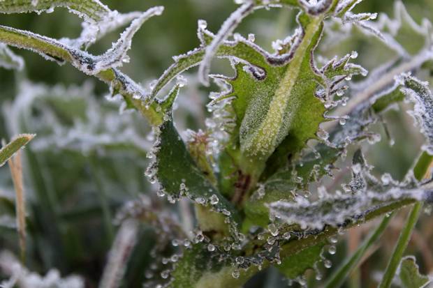 Continuarán temperaturas bajo cero en zonas montañosas de Puebla