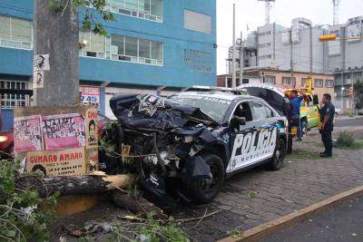 FOTOS: Policía choca contra auto y derriba árbol en Prolongación Reforma