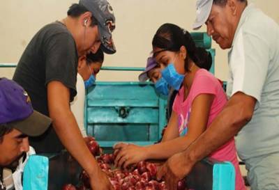 Empresas familiares poblanas fracasan por falta de plan de sucesión generacional