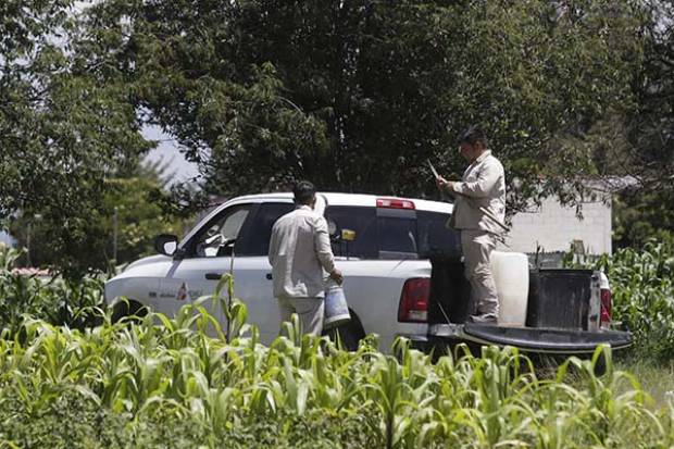 Van 71 hectáreas de cultivo afectadas por huachicol en Puebla