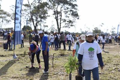 Puebla tendrá un nuevo bosque en el Ecocampus Universitario Valsequillo