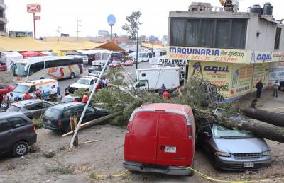 FOTOS: Viento tira árboles sobre autos en Texmelucan