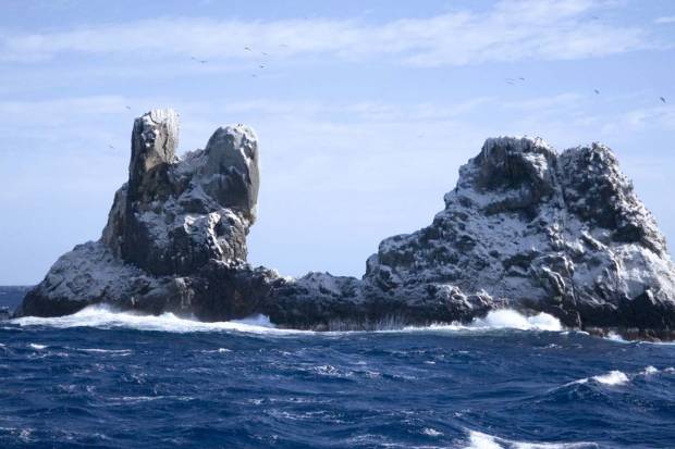 Islas Revillagigedo, el parque natural más grande de América del Norte