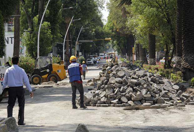 Piden ambientalistas respetar árboles en remodelación de la avenida Juárez