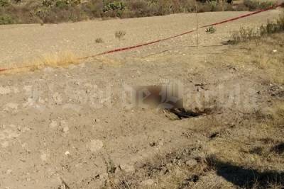 Hallan cadáver calcinado en terrenos de Palmar de Bravo