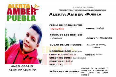 Activan Alerta Amber para localizar a menor extraviado en Palmar de Bravo