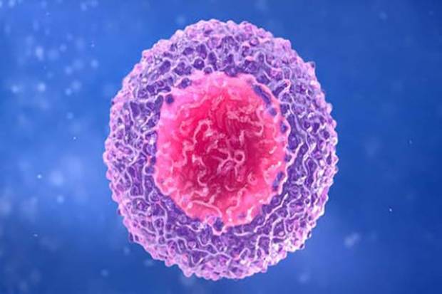 Células T podrían dar inmunidad duradera contra COVID-19