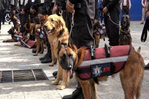 Con binomios caninos reforzará SSP Puebla seguridad en centros penitenciarios