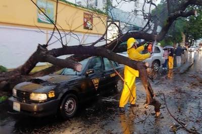 Árboles caídos e inundaciones de vialidades, saldo de lluvia en Puebla