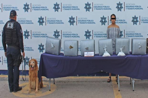 Cayó mujer con más de 70 kilos de marihuana en la CAPU