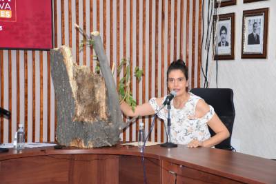 Implementa Gobierno de Texmelucan acciones para combatir plaga en árboles