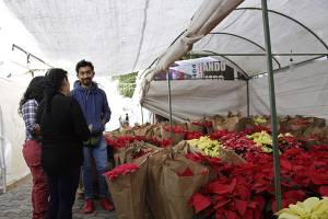 Ayuntamiento de Puebla invita a feria navideña en el Parque de El Carmen