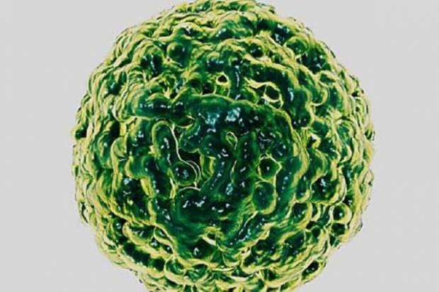 Norovirus, nueva amenaza para toda la humanidad