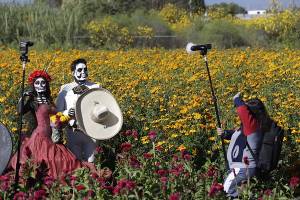 FOTOS: Cholula y sus postales de campos con flor de muerto