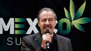 Vicente Fox sembrará mariguana en su propio invernadero