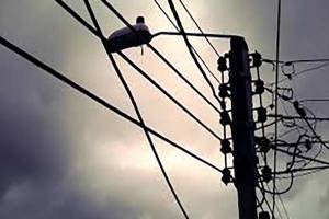 Sin freno, el robo de cables de luz en la capital poblana