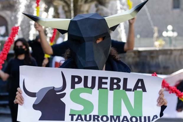 Piden a Claudia Rivera prohibir corridas de toros