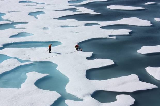Ártico se calienta al doble de velocidad que el resto del planeta, afirman científicos