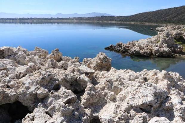 Para conservar charal y ajolote endémicos, reordenan uso de laguna de Alchichica