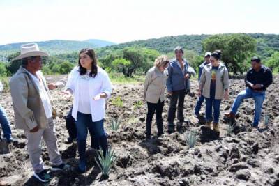 Gobierno de Claudia Rivera cierra Reforestatón 2019 con 154 mil árboles plantados