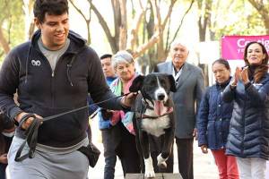 Ayuntamiento de Puebla va por la esterilización de 3 mil 400 perros y gatos