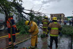 FOTOS: Lluvia en Puebla provoca caída de árboles y encharcamientos