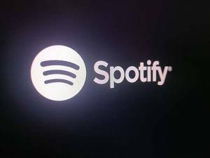 Spotify Platinum: la suscripción que cobrará adicional por música HiFi