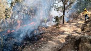 Reportan 8 incendios forestales en Puebla