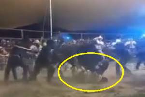 VIDEO: Toro mata al &quot;Niño de Oro de Apatlaco&quot; durante jaripeo en Atlixco