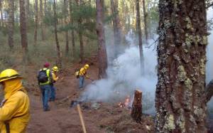 Registra Puebla 113 incendios forestales durante 2023: Segob