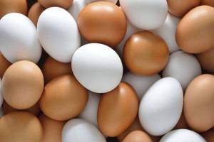 Puebla, segundo productor de huevo del país; 23 kilos al año, consumo promedio por persona