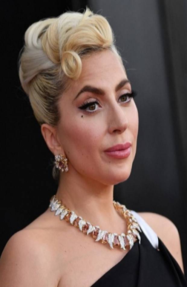 Dan seis años de cárcel a sujeto implicado en robo de perros de Lady Gaga