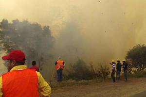 Puebla suma 121 incendios forestales este 2020; es tercer lugar nacional