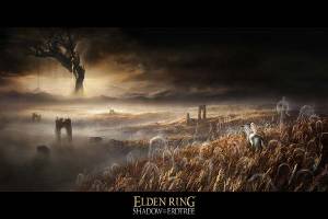 FromSoftware está trabajando en una expansión para Elden Ring