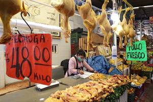 Dañino, el pollo que comemos: estudio; puede causar nueva pandemia