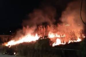 Incendio consumió pastizal en la zona de Los Fuertes