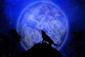 ¿Cuándo y cómo ver la primera Luna de lobo de 2022?