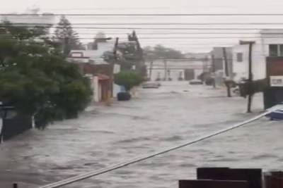 FOTOS: Lluvia dejó árboles derribados y calles inundadas en Puebla