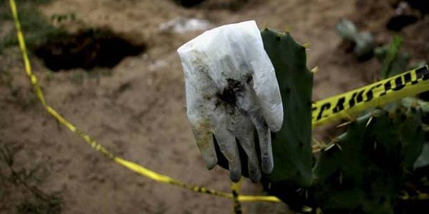 Hallan 15 cadáveres en fosas clandestinas de Veracruz
