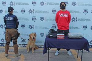 Policía Canina captura a sujeto con 4 kilos de marihuana en la CAPU