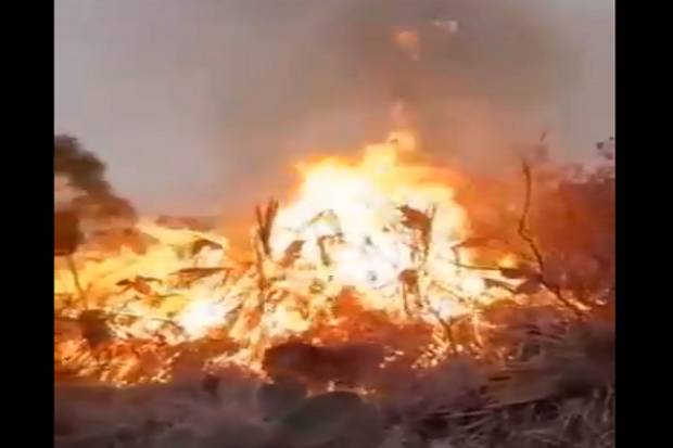 Incendio de 480 hectáreas en Tetela de Ocampo, controlado al 60 por ciento: SEGOB