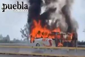 Falla eléctrica generó incendio de camión AU en la autopista México-Puebla