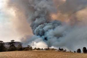 Puebla registra ocho incendios forestales activos