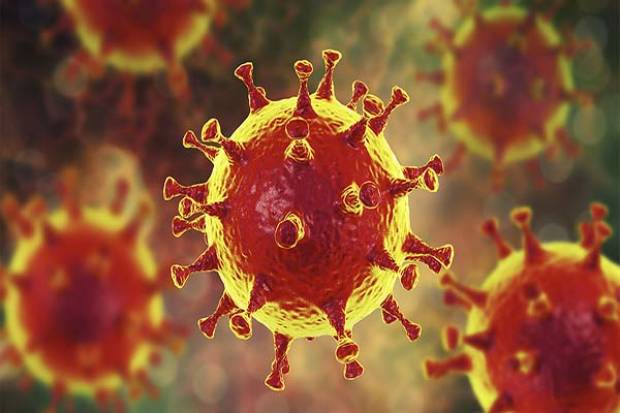 Hallan debilidades del coronavirus que darían pie a potencial tratamiento