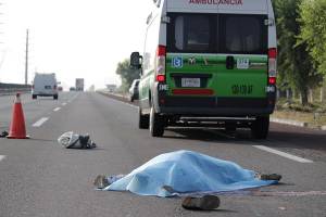 Hombre murió arrollado en la autopista México-Puebla