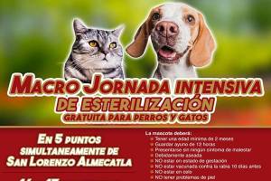 Ayuntamiento de Cuautlancingo anuncia macrojornada intensiva de esterilización canina y felina