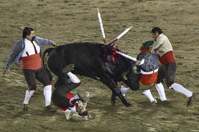 Ayuntamiento de Puebla no tiene en su agenda la eliminación de corridas de toros